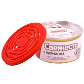 Ароматизатор на панель прессованное дерево SKYWAY Свежесть Ароматизатор на панель прессованное дерево SKYWAY Свежесть