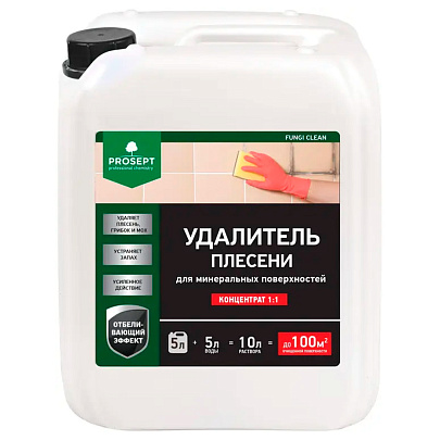  Удалитель плесени 1:1,  5л PROSEPT FUNGI CLEAN 