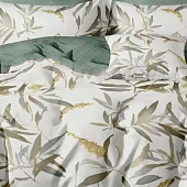 Комплект постельного белья 1,5 спальный Cleo HOME Поплин Pure Cotton 15/014-PCE Комплект постельного белья 1,5 спальный Cleo HOME Поплин Pure Cotton 15/014-PCE