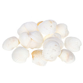 Декоративные Ракушки 150г, белые INBLOOM 173-005 Декоративные Ракушки 150г, белые INBLOOM 173-005
