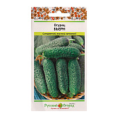 Огурец Бьерн F1 5 шт СемкоР+ Огурец Бьерн F1 5 шт СемкоР+