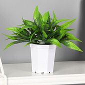 Искусственный цветок в горшке Сансевиерия элегант, 7х13 см, зелёный, 10325095 Искусственный цветок в горшке Сансевиерия элегант, 7х13 см, зелёный, 10325095