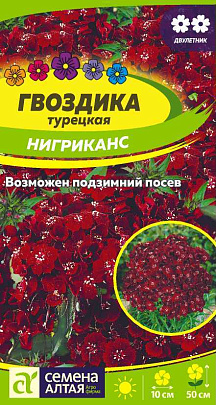 Гвоздика турецкая Нигриканс СА Гвоздика турецкая Нигриканс СА