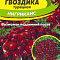  Гвоздика турецкая Нигриканс СА 