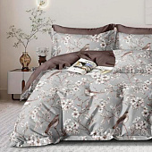 Комплект постельного белья 2 спальный Cleo поплин 20/011-PCE Комплект постельного белья 2 спальный Cleo поплин 20/011-PCE