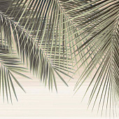  Декор 24.9х50 Дель маре ветки пальмы на белом зел ВС9ДМ001/ DWU09DLM001 /УралКерамика 