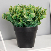  Искусственный цветок в горшке «Цветок монетчатый», 10?16 см, зелёный 