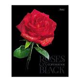  Тетрадь А5 96л скрепка, клетка мат.лам. 3Dлак Roses on black серия  (6/60) /96Т5лолВ1 Хат/ 