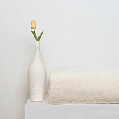  Плед 180х200 Cleo Home Pinoli велсофт 180/016-PN/CL 