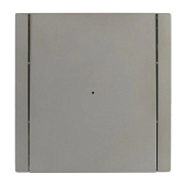 Выключатель встраиваемый 1 клавиша, цвет сталь, с подсветкой, IEK FORTE&PIANO Выключатель встраиваемый 1 клавиша, цвет сталь, с подсветкой, IEK FORTE&PIANO