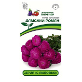 Астра китайская Дамский роман, Партнер Астра китайская Дамский роман, Партнер