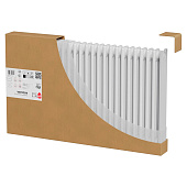 Дизайн-радиатор Royal Thermo Insignia C3030 650х300х14 секций RAL9016 Дизайн-радиатор Royal Thermo Insignia C3030 650х300х14 секций RAL9016