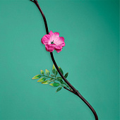 Интерьерный декор из бамбука, цветы пластик 200 см фиолетовый 7779962 Интерьерный декор из бамбука, цветы пластик 200 см фиолетовый 7779962