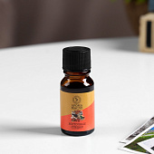  Аромамасло Богатство Аромата Восточные специи 10 мл 9800031 