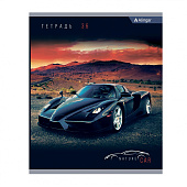  Тетрадь 36л. А5. клетка  Alingar  NATURE CAR 4 дизайна AL10358 