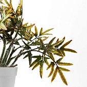  Искусственный цветок в горшке Людвигия бревипес 8,5х21 см, микс  9789796 