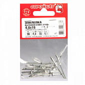 Заклепка вытяжная алюм/сталь 4,0х16 (16 шт) Заклепка вытяжная алюм/сталь 4,0х16 (16 шт)