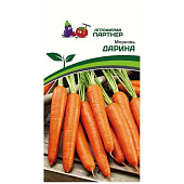  Морковь Дарина 1 гр  Партнер 