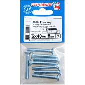  Винт оцинк.пот. DIN 965  М 6х40 (8шт) 