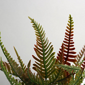 Искусственный цветок в горшке Нефролепис премиум, 24х8,5 см, микс, 10463223 Искусственный цветок в горшке Нефролепис премиум, 24х8,5 см, микс, 10463223