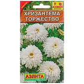 Хризантема букетная Торжество, Аэлита Хризантема букетная Торжество, Аэлита