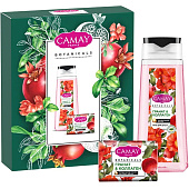  Подарочный набор Camay Botanicals Pomegranate (250мл+85гр) 2023 