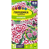 Гвоздика Княжна турецкая СА Гвоздика Княжна турецкая СА