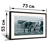 Картина ED-17 Картина ED-17