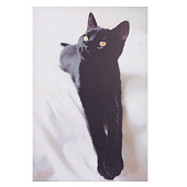 Панно, 766593, 40х2,5х60 см Панно, 766593, 40х2,5х60 см