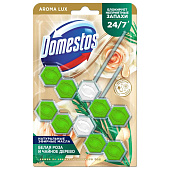 Подвесной блок для унитаза Domestos Power5 Зеленый чай 2х50 Подвесной блок для унитаза Domestos Power5 Зеленый чай 2х50