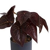 Искусственный цветок в горшке Алоказия колор 7,5х15 см 10084572 Искусственный цветок в горшке Алоказия колор 7,5х15 см 10084572