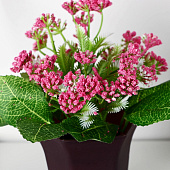 Искусственный цветок в горшке Тысячелистник, 8х17 см, микс, 10084532 Искусственный цветок в горшке Тысячелистник, 8х17 см, микс, 10084532