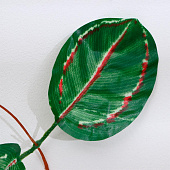 Искусственный цветок Лиана Аглаонема расписная, 230 см, 5390653 Искусственный цветок Лиана Аглаонема расписная, 230 см, 5390653