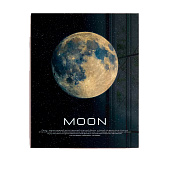 Картина стекло Луна 40х50 Картина стекло Луна 40х50