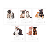 Тетрадь 12л ErichKrause Дружба, линия, 42546 Тетрадь 12л ErichKrause Дружба, линия, 42546