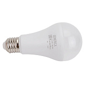 Лампа LED 25Вт Е27, груша, 6500К холодный GENERICA Лампа LED 25Вт Е27, груша, 6500К холодный GENERICA