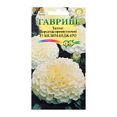 Бархатцы Килиманджаро, ВХ Бархатцы Килиманджаро, ВХ