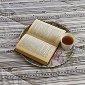  Покрывало 200х220 Cleo Home Vello Doro 200/007-VDR 