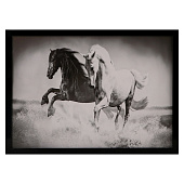  Картина Пара лошадей, 56х76 см, рамка микс, 1158841 