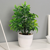 Искусственный цветок в горшке Ауакуба премиум, 20х9 см, 10455191 Искусственный цветок в горшке Ауакуба премиум, 20х9 см, 10455191