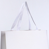 Пакет подарочный "Белый", 28 х 20 х 10 см 10786766 Пакет подарочный "Белый", 28 х 20 х 10 см 10786766