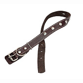  Ошейник кожаный 20 (1) цветной украшенный ZooMoDa 