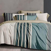  Комплект постельного белья Cleo тенсель Soft Tencel евро 31/1004-TS 