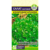Зелень Салат Изумрудное Кружево СА Зелень Салат Изумрудное Кружево СА