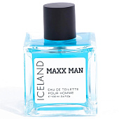 Туалетная вода Maxx Man Iceland мужская, 100 мл Delta Parfum