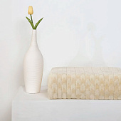  Плед 150х200 Cleo Home Bars велсофт 150/007-BAR/LA 