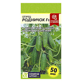 Огурец Родничок Семена Алтая Огурец Родничок Семена Алтая