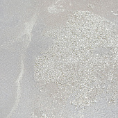  Обои 1.06х10м Бельканто арт. 11367-04 Бежевый фон /Артекс 