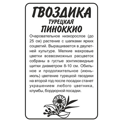 Гвоздика турецкая Пиноккио Сем Алт Гвоздика турецкая Пиноккио Сем Алт