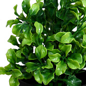 Искусственный цветок в горшке Крупнолист, 19 см, 5664388 Искусственный цветок в горшке Крупнолист, 19 см, 5664388